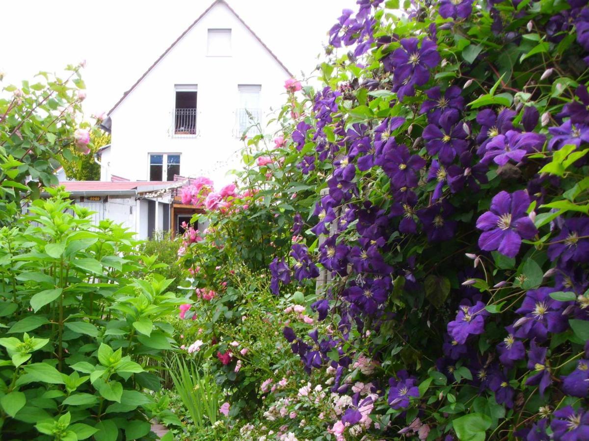 Ferienwohnung Gaby Marburg Exteriör bild