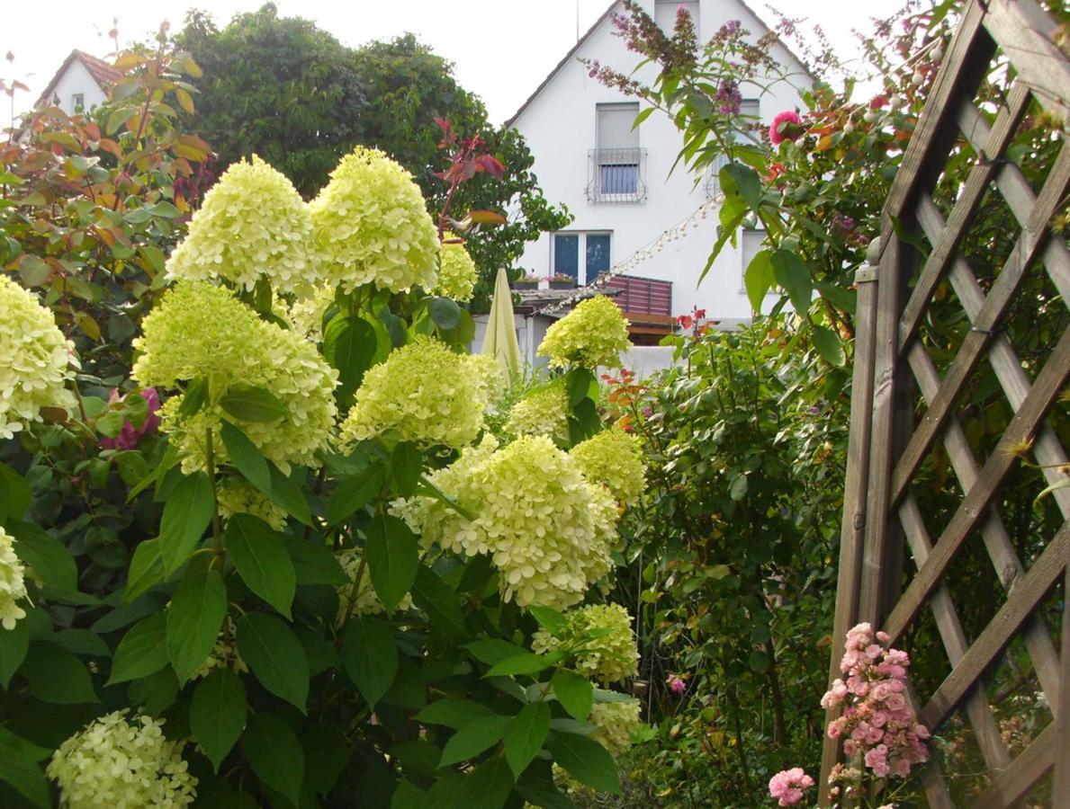 Ferienwohnung Gaby Marburg Exteriör bild